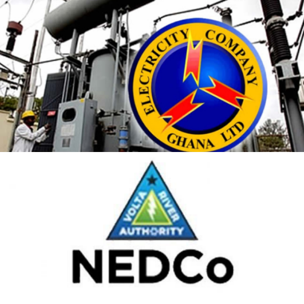 Gov't rules out any possibility to sell ECG or NEDCo 